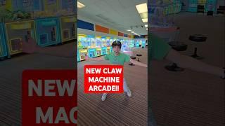 This New Arcade Is Filled WIth Never Ending Claw Machines!