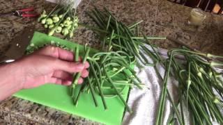 How to Prepare Garlic Scapes for Cooking ~ Love Your Land