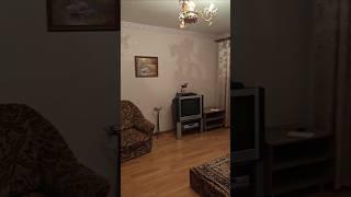 Сдам квартиру в Аркадии, Одесса