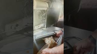 This is how I make homemade dog  food