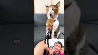 #comedy  cat kharate Kat rahe hai Roshan Kumar mk 