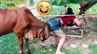Funny & Hilarious People Life  #130 | TRY NOT TO LAUGH  | Instant Regret Fails Compilation 2025