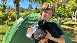 Camping in my Backyard for 3 Days with Baby Goat!