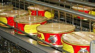 Millions of tuna cans are produced in a factory. Top production processes