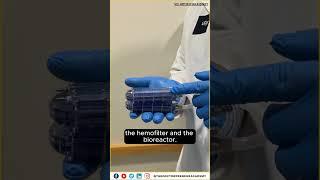 Kidney Health: The Implantable Bioartificial Kidney Explained!