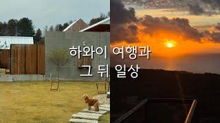 직장인 브이로그 | 하와이 효도여행 다녀옴(feat. 쉽지 않ㄷr..) | 그래도 덕분에러닝 입문하고 건강해짐 | 집 사고 싶은 영끌 예정러들