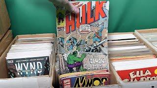 Epic Comic Collection Haul - Dollar Bin Digging and More