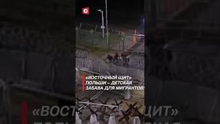 «Восточный щит» Польши – детская забава для мигрантов! #польша #политика #мигранты #новости #граница