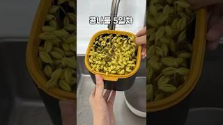 콩나물 5일만에 키우기! #shorts #sprout #콩나물 #무농약 #쉽게 #키우기