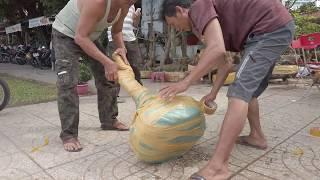 bonsai can tho | CÁCH ĐÓNG GÓI PHÔI MAI VÀNG CHO KHÁCH | Can Tho vietnam