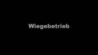 Wägetechnik Visser Software einer Kontrollwaage