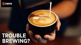 Will coffee soon become a luxury for Kiwis? | 1News on TVNZ+