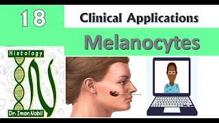 18-Melanocyte حسنة أم سرطان و غيره-Clinical applications of Histology