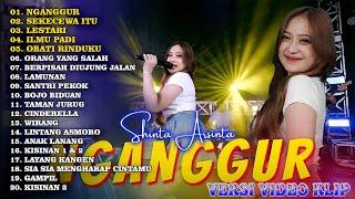 DANGDUT KOPLO TERBARU 2024 - SHINTA ARSINTA FULL ALBUM TRENDING DAN VIRAL 2024 / NGANGGUR, LESTARI