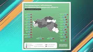 За сутки в Белгородской области от короновирусной инфекции скончались еще 3 человека