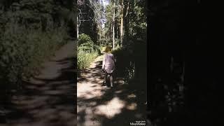 Летняя Фурри прогулка | summer Furry walk | Фурсьют | Fursuit
