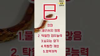기초사주 풀이 지지 사화편 #사주 #보험 #상담 #타로 #문의 #사주팔자 #보험상담 #보험설계사 #사주풀이 #점사 #점집 #보험맛집 #사화 #천간 #지지 #유명한점집 #mbti