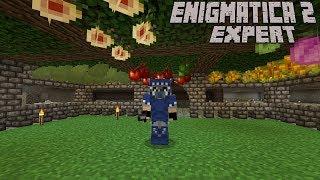 Agri-Automation Part 1  : Enigmatica 2 Expert Lp Ep #10 Minecraft 1.12