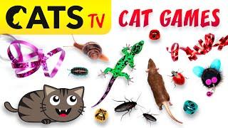 CAT GAMES 🪳 Ultimate CATS TV Compilation 20 in 1  4K 60 FPS [5 HOURS]