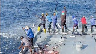 FISHING | TUNA | MALDIVES 