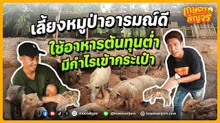 เลี้ยงหมูป่าอารมณ์ดี ด้วยอาหารต้นทุนต่ำ เพิ่มกำไรเข้ากระเป๋า | เกษตรสัญจร