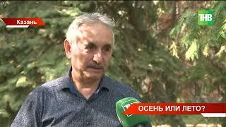 Продолжение лета: сколько еще продлится аномальная жара в Татарстане?