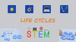 Life Cycles | STEM Education | Albakio International