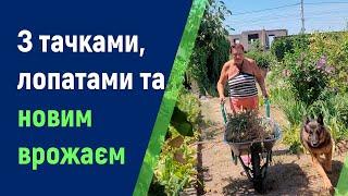 Жителі Приозерного, що на Херсонщині, оговтуються від затоплення