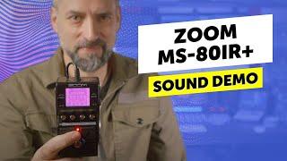 Amp Models, Cab IRs & some effects in a small pedal | Zoom MS-80IR+ | Sound Demo