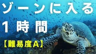 ゾーンに入るBGM 1時間の勉強耐久 60分タイマーで全集中 50bpm音楽