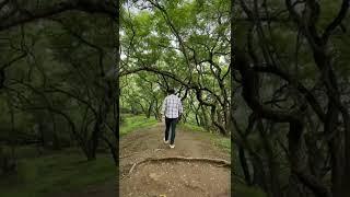 A small hike towards a temple named Gaurai Devi Mandir, Talegaon, Pune. 