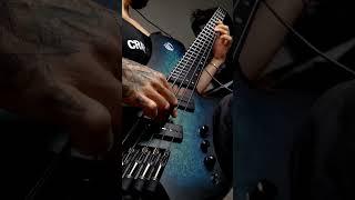 The dissentience  #ProtestTheHero #Bass #Metal