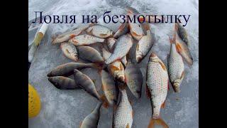 ЛОВЛЯ КРУПНОЙ ПЛОТВЫ НА БЕЗМОТЫЛКУ. Зимой 2022Безмотылка Харьковfamily fishing