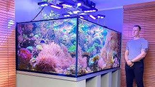 GERMAN REEF TANKS - "Nature Reef" - 3000 liter / 790 gallon coral aquascape / saltwater aquarium