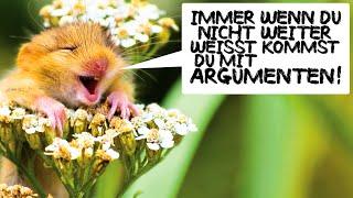 Immer wenn du nicht weiter weißt kommst du mit Argumenten