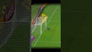 Erro bizarro do goleiro