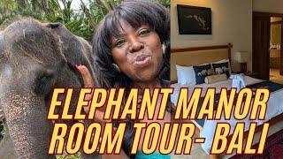 Elephant Manor Room Tour - Bali #elephantsanctuary #elephantmanor #bali