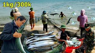 Ngư Dân Thanh Khê Trúng Mánh Cá Xương Xanh Khủng || Mẻ Cá Chim Trắng Tươi Rói TP Đà Nẵng