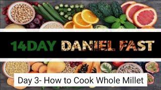 Daniel Fast | Daniel Fast Recipes | 14 Day Fast | Day 3- How to Cook Millet