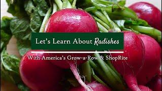 Radishes- Today's Healthy Bite