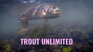 Trout Unlimited