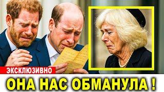 Утерянное письмо принцессы Дианы принцу Уильяму наконец то обнаружено