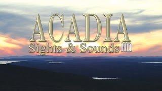 Acadia Sights & Sounds