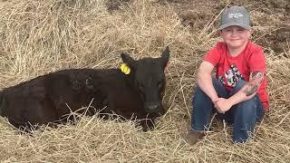 Cattle Sale with a Cause: Supporting Duchenne Research