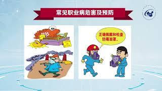 职业健康宣传视频：《职业健康基础知识》Occupational Health Promotion Video: "Basic Knowledge of Occupational Health"