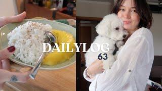 dailylog#63  |  mango sticky rice, saçlarımı kestirdim