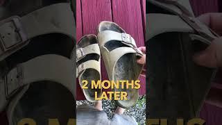 Birkenstock Arizona Sandal Review