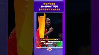 多位外協選手發文質疑WTT聲明　「現在需要真正的改變」｜#WTT  @dotdotnews點新聞 #shorts