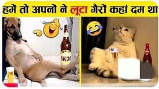 ऐसे चालबाज जानवर बैट्री लेकर ढूंढने पर भी नहीं मिलेंगे #funny #reels #video | funny animals video