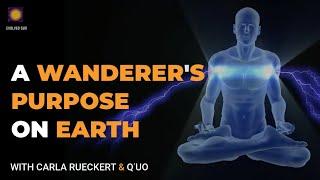 THE #1 MISSION On Earth For Wanderer Souls! (most don't know) | Law of One, LL Research